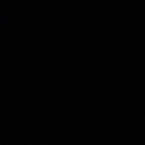 Meet your Posher, Esme